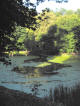 Kaszuby-Wolinia: staw dworski o lustrze wody powyżej poziomu terenu (fot: R.K., 31-08-2004)