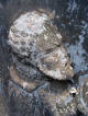 Dolny Śląsk-Chobienia: głowa - fragment nagrobka na ścianie kościoła (12-09-2003)